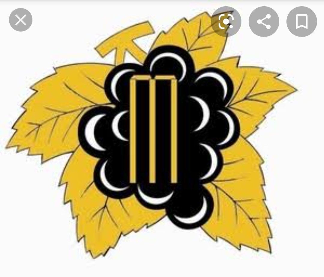 Positives for Boland Cricket.Crowds will fill the ground.Successful MSL team.Produced Omar Henry, Roger Telemachus, Henry Williams, Charl Langeveldt, Claude Henderson, Con de Lange, Justin Ontong + othersCurrent Potential SA u19sDewald Grove, Nathan Jacobs