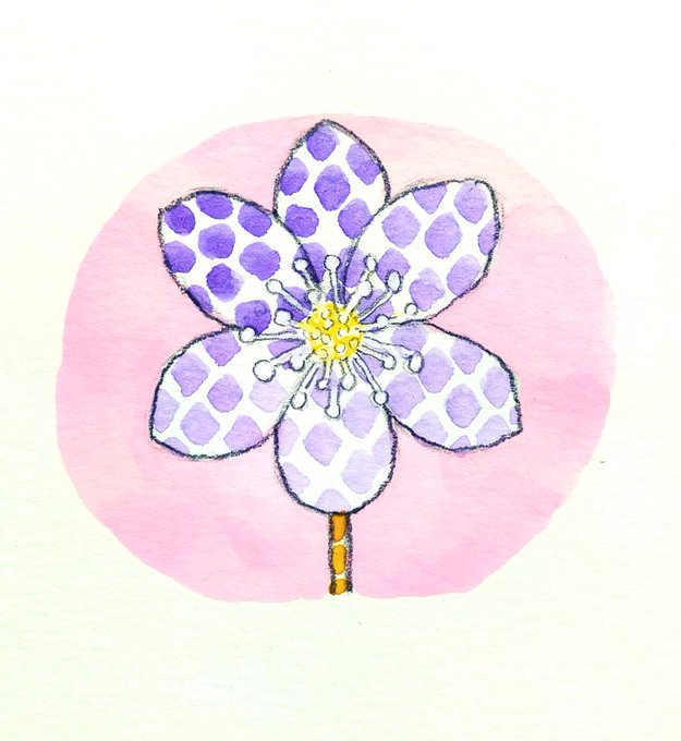 ミスミソウのtwitterイラスト検索結果 ミスミソウのtwitterイラスト検索結果