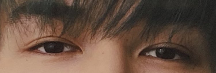 ジェシーくんの二重幅神秘すぎる