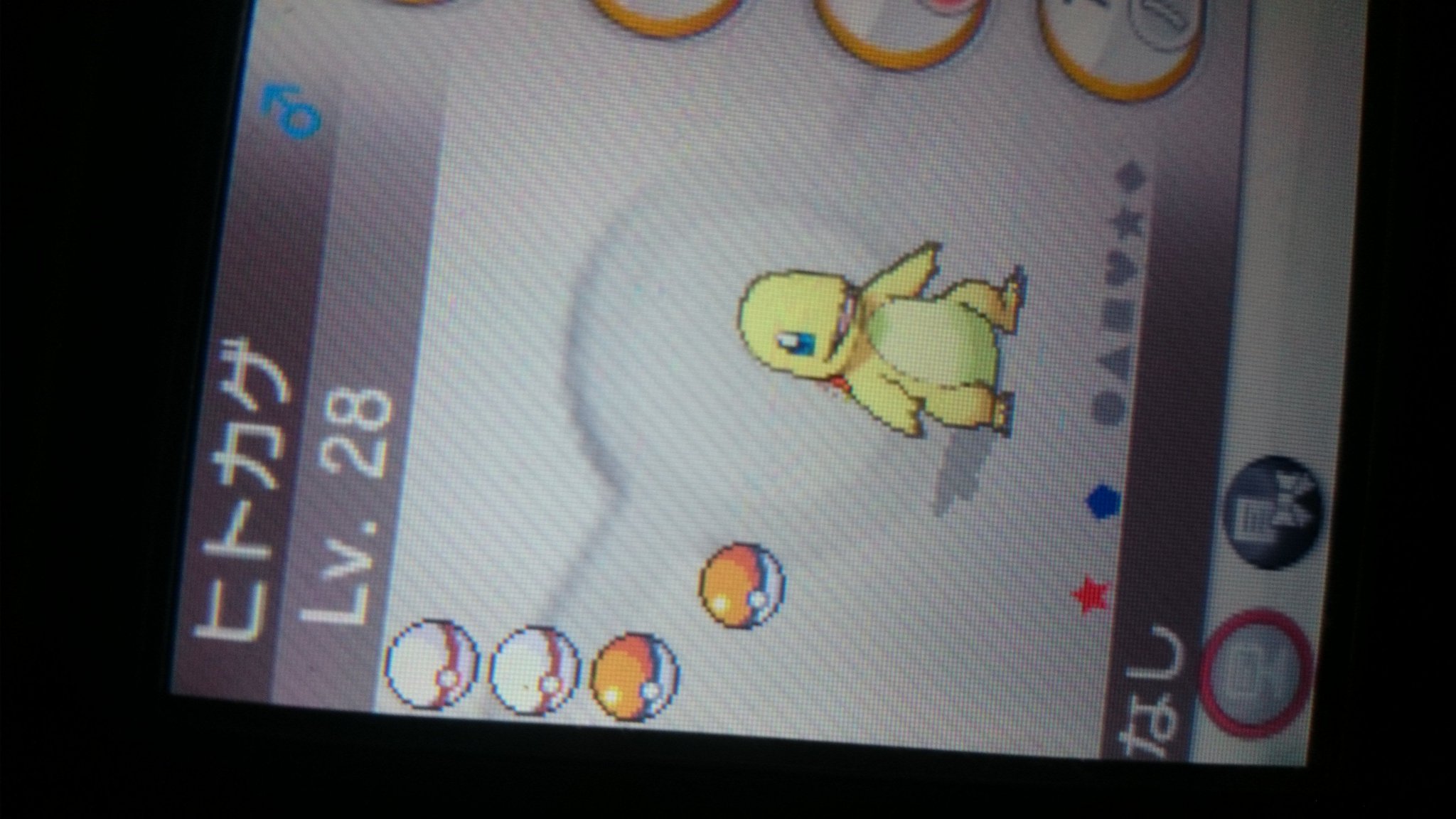 バルサミコ酢 空き時間ででたヒトカゲ 色違いポケモン ポケモンxy