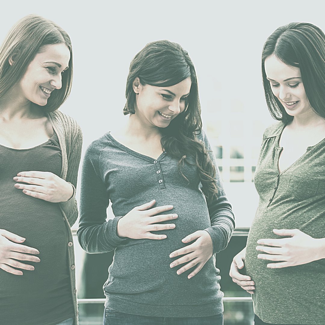 Dakota Surrogacy tweet media