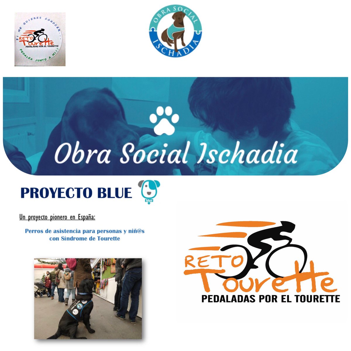 ccpedaladasST's tweet photo. Anunciamos q, desde ahora, nuestras donaciones irán dirigidas al #ProyectoBlue de     @OSIschadia para q las familias con afectados por #SindromedeTourette, puedan acceder a un #PerrodeAsistencia 🥰

➕info: https://t.co/Zs8eBOh1wE https://t.co/WA8j3F3nfM