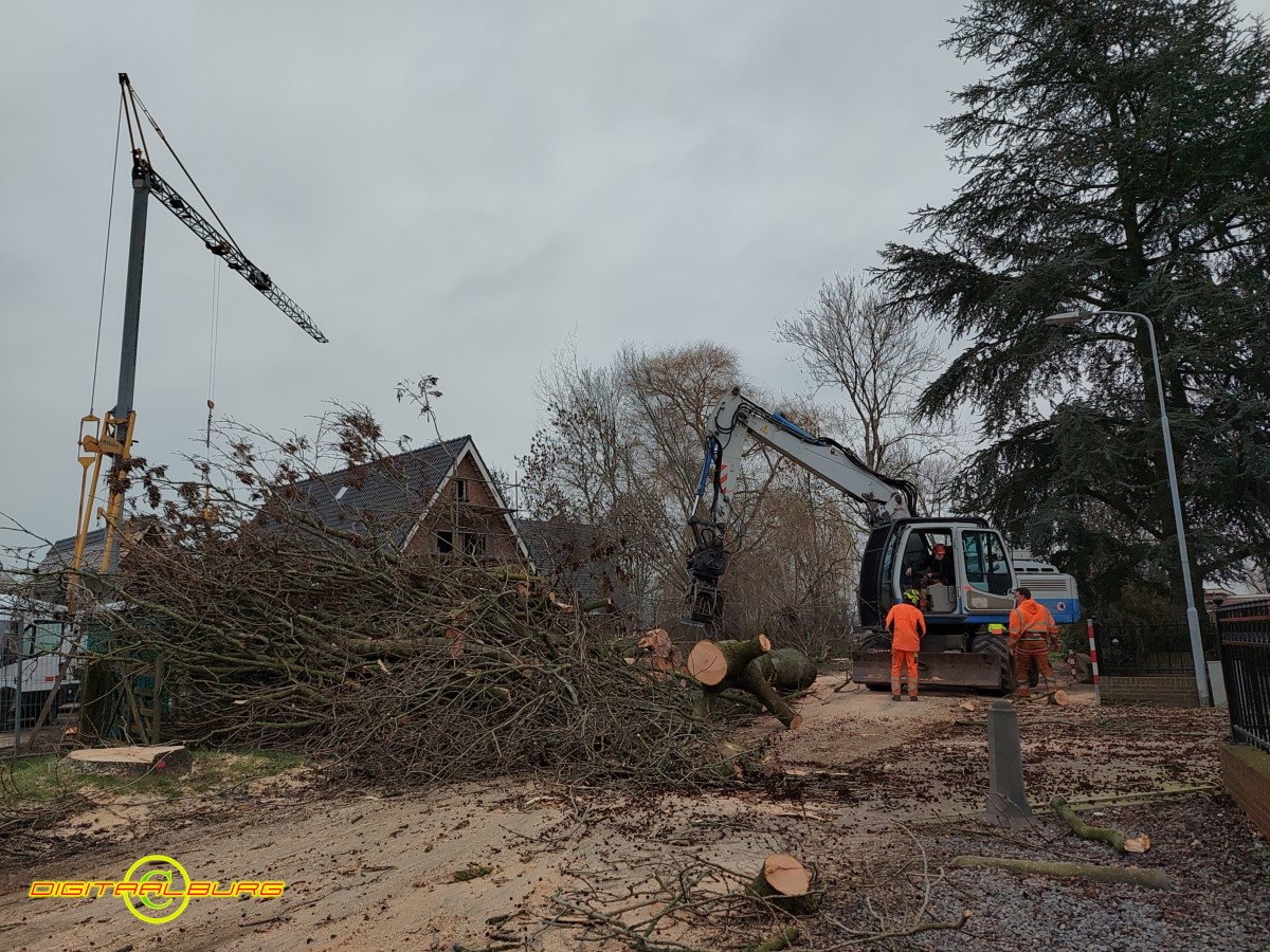 Rooien van zieke bomen in Nieuwaal (video) -..