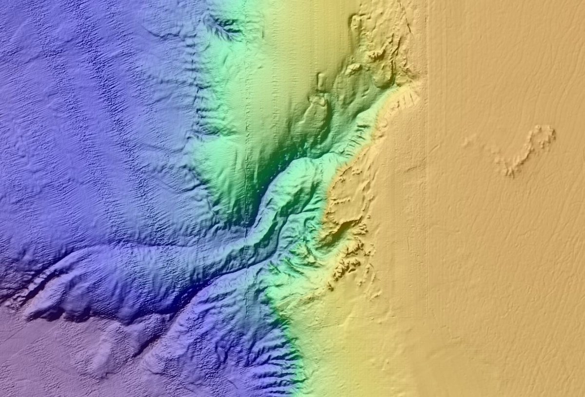 followtheboats's tweet photo. Customise the seafloor with our interactive Dynamic Bathymetric Viewer! Delve in to some of the intricate Irish seabed features, from shallow sand waves and reefs, to deep sea canyons.

Explore here➜https://t.co/cb9H37r5M5 

#SeabedMapping 

@Dept_ECC @GeolSurvIE @MarineInst https://t.co/ezbKioyn9a
