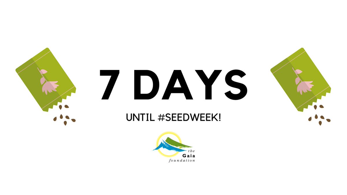 GaiaFoundation's tweet photo. COUNTDOWN TO SEED WEEK!
From 18-22 Jan we will celebrate #SeedWeek 2021!
To whet your appetite, over the next 7 days, we'll bring you great stories about #SeedSovereignty, starting with #SeedsofJustice, our film about Ethiopia's remarkable seed revival!
https://t.co/bx3B4gpJN3 https://t.co/hKqgoaz8tE