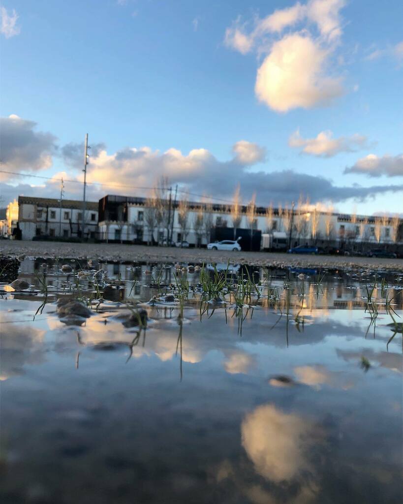 tonyi81's tweet photo. Reflejos de invierno 💫
.
.
.
.
.
#reflejos #reflections #invierno #winter #landscape #photooftheday #inca #mallorquineando #mallorquinament #mallorquinamente #miislabonita #mallorca #igersmallorca #igersbalears #igers #somosinstagramers https://t.co/9rDhHzwd9s https://t.co/CcD2qa1bPG