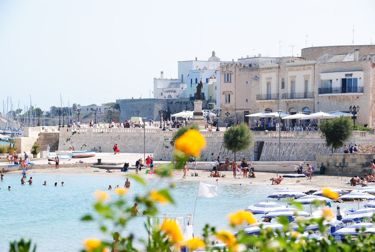 leTDMen80ans's tweet photo. [#lundifleuri]
Joli souvenir d'#Italie qui me réchauffe le cœur et le corps !
Visitez #Otrante, la ville aux 800 martyrs :
👉https://t.co/GuQ5C9NRIh

🇮🇹🌼
#voyage #travel #photo #nature #naturelovers #pouilles #puglia #fleur #fleurs #weareinpuglia #otranto #MondayMotivation #mer https://t.co/tEB1BD6t8d