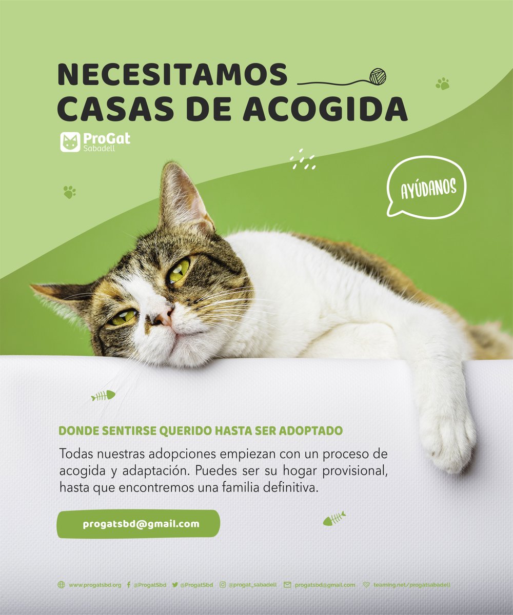 ProgatSabadell's tweet photo. Busquem #CasesAcollida per seguir #salvantvides dels #gats i #gates de #Sabadell. Escriu-nos.
Buscamos #CasasDeAcogida para seguir #SalvandoVidas de #gatos y #gatas de #Sabadell. Escríbenos.
#progatsabadell #formapartdelcanvi #formapartedelcambio #colabora #acull #acoge https://t.co/DqBTb0dm7S