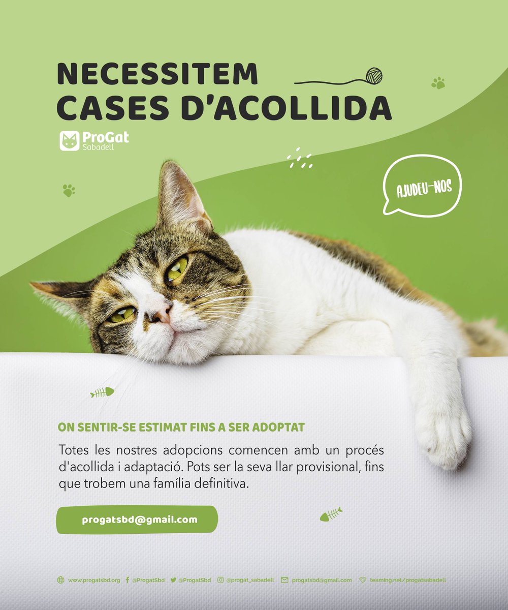 ProgatSabadell's tweet photo. Busquem #CasesAcollida per seguir #salvantvides dels #gats i #gates de #Sabadell. Escriu-nos.
Buscamos #CasasDeAcogida para seguir #SalvandoVidas de #gatos y #gatas de #Sabadell. Escríbenos.
#progatsabadell #formapartdelcanvi #formapartedelcambio #colabora #acull #acoge https://t.co/DqBTb0dm7S