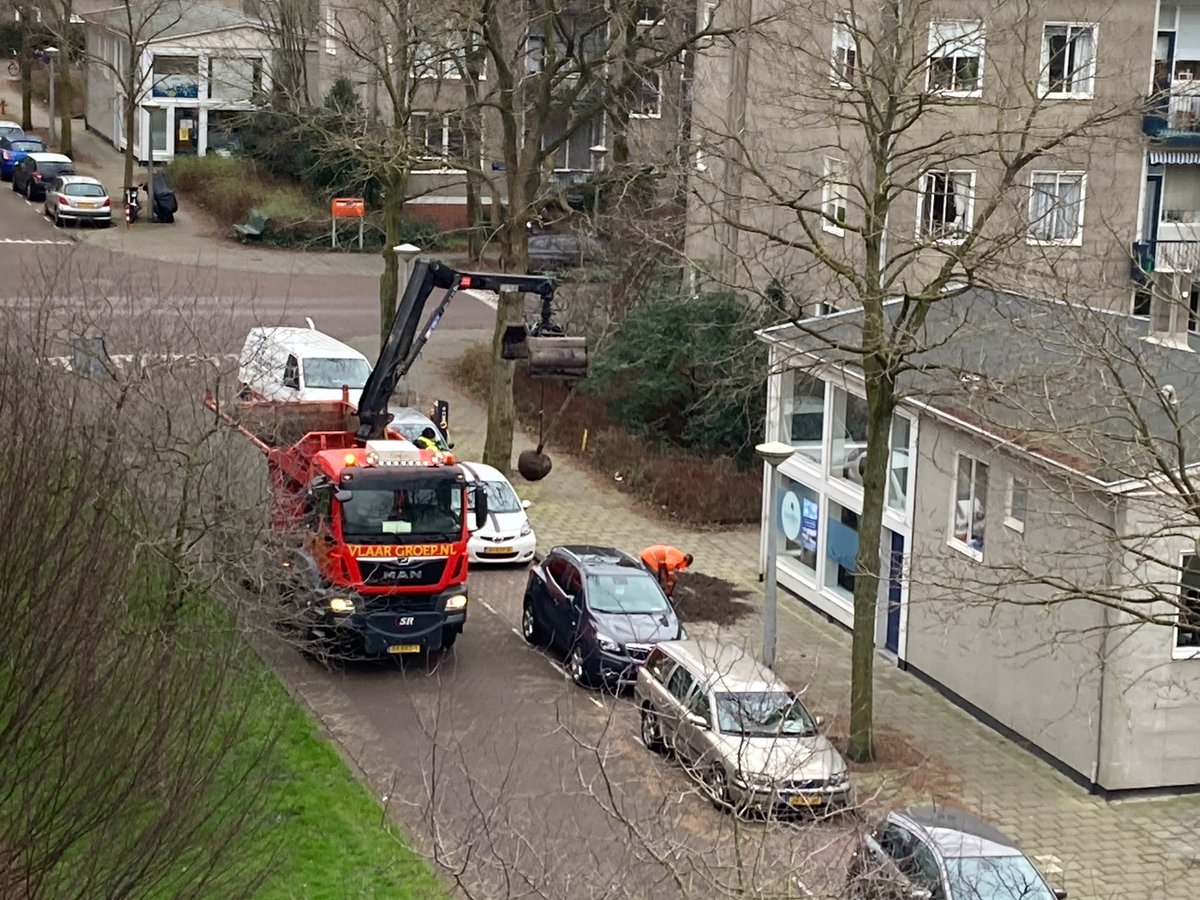 JaapJJ's tweet photo. @webcare020 @020webcare @duurzaam020 @roccopiers Daar vliegt ie! Nieuwe boom. Super https://t.co/iZhvCHygIB