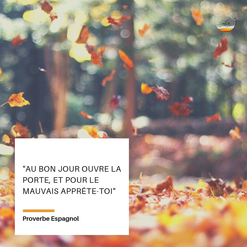 AkabbaShop's tweet photo. Merveilleux Lundi et bonne semaine à tous et toutes.

#mondaymotivation #monday #mondayvibes #mondaymood #mondaymorning #mondayquotes #happymonday #mondaymindset #lifeisbeautiful #life #lifequotes #lifelessons #lifegoal #selfcare #positivevibes #joy #inspiration #freshair #akabba https://t.co/xpKJYUvbSc