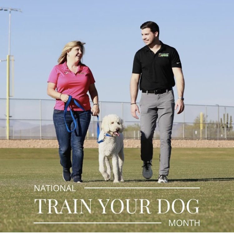 BarkBustersGA's tweet image. January is #NationalTrainYourDogMonth 

Call (877) 500-BARK (2275) and celebrate the joy of a great a better relationship with your #dog 

#BarkBustersGA #HomeDogTraining #DogTrainer #BestDogTraining