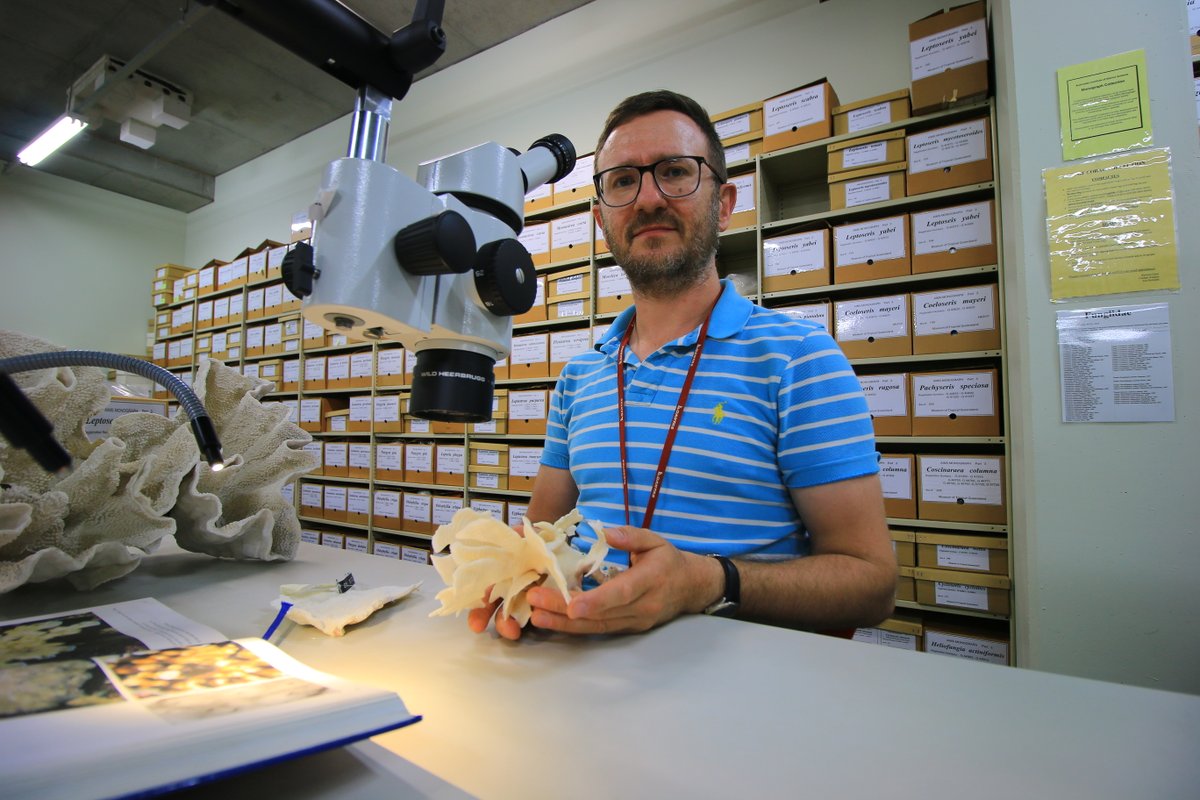 NAWAPoland's tweet photo. We are pleased to present the #NAWAfellowship holder under the #BekkerProgramme - Prof. Mikołaj Zapalski, @UniWarszawski, who conducts #research on #coral #reefs🌊🤿🔎 Interview (🇵🇱language)👉https://t.co/CJw0t6EEN6
#GreatBarrierReef https://t.co/ZWtA7upk0j
