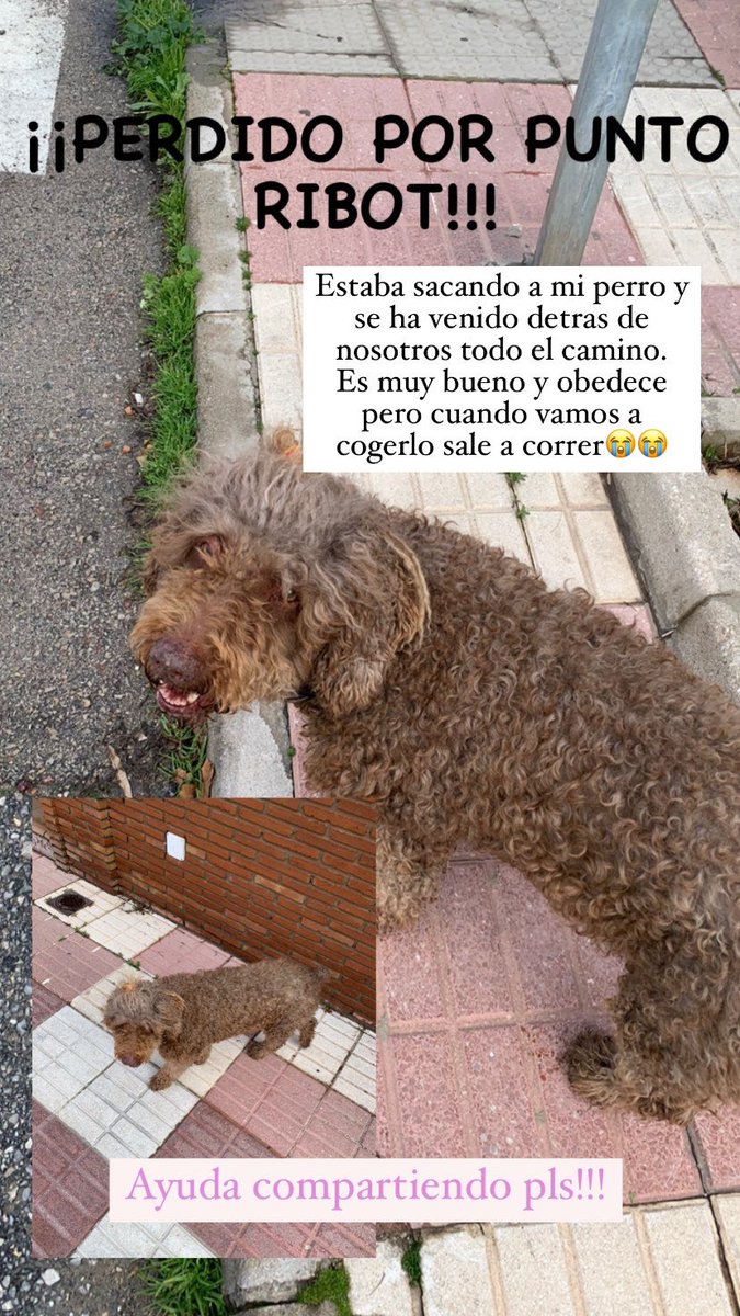 Martitacor's tweet photo. https://t.co/aExaIcWjK8