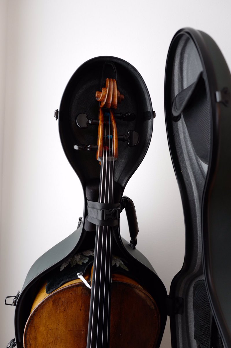 チェロケース - Search / X