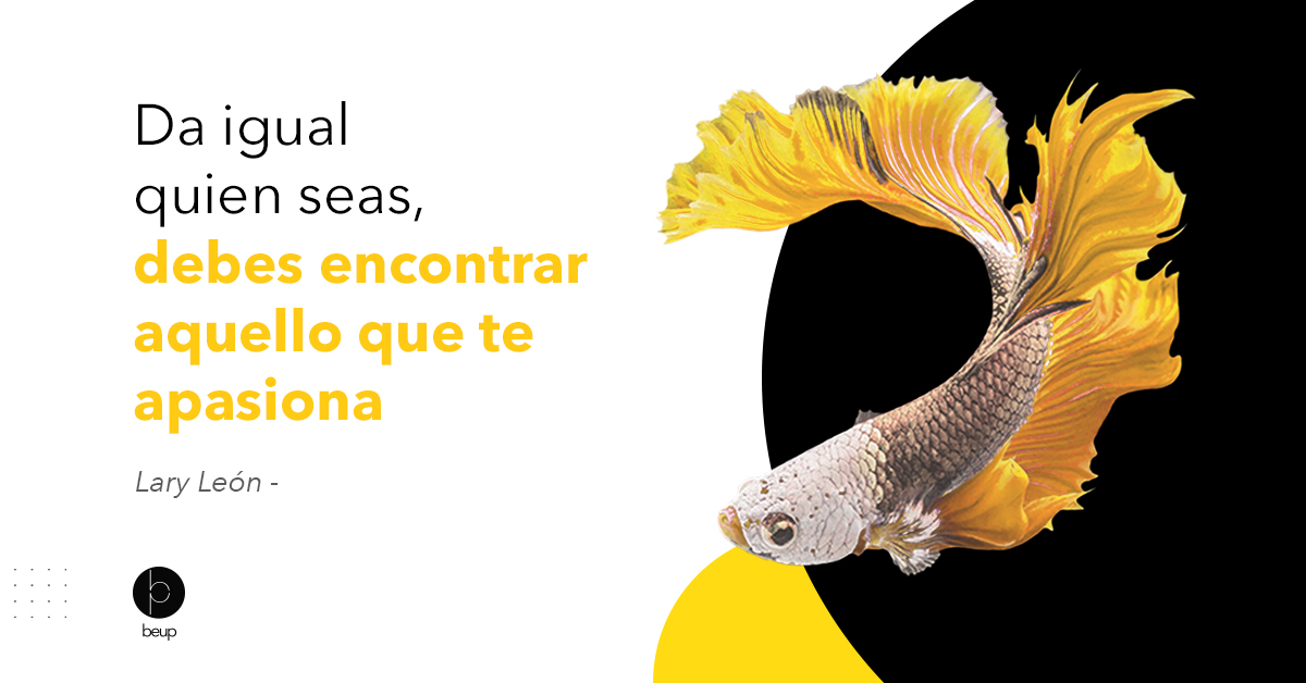 BeUp | Consultora tweet media