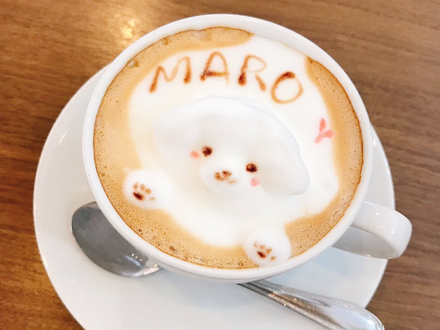 ッグカフェ巡り しろいぬカフェ 千葉県松戸市 Cafedoggy Com