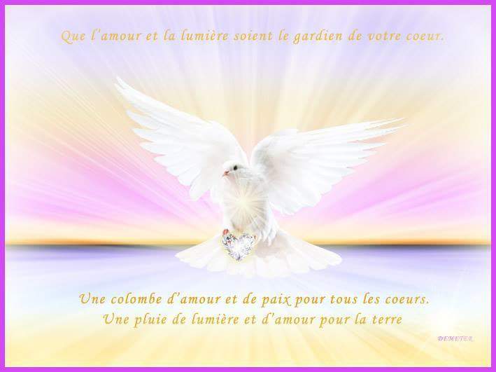 Kumari Mullin Nothing Can Dim The Light That Shines From Within Maya Angelou Quotestoliveby Mayaangelou Reiki Reikihealing T Co Kvbcg37tu6 Twitter