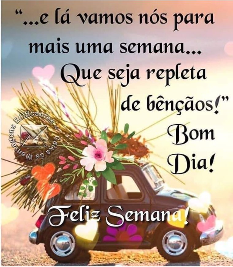 Simone Peixoto on Twitter: Simone Peixoto on Twitter: