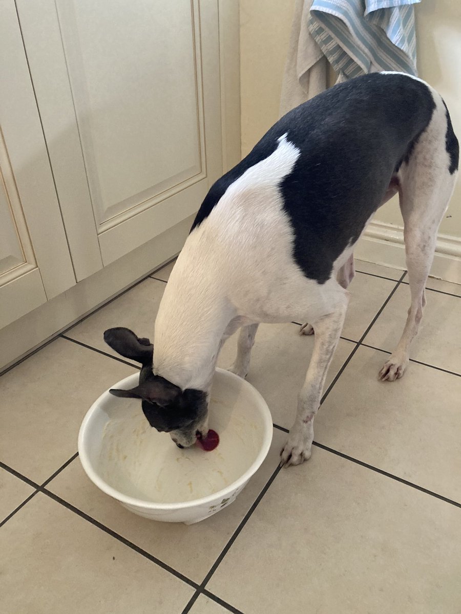 Finger lickin’ good ... got to lick out the bowl after mum made dad a Madeira birthday cake 😋