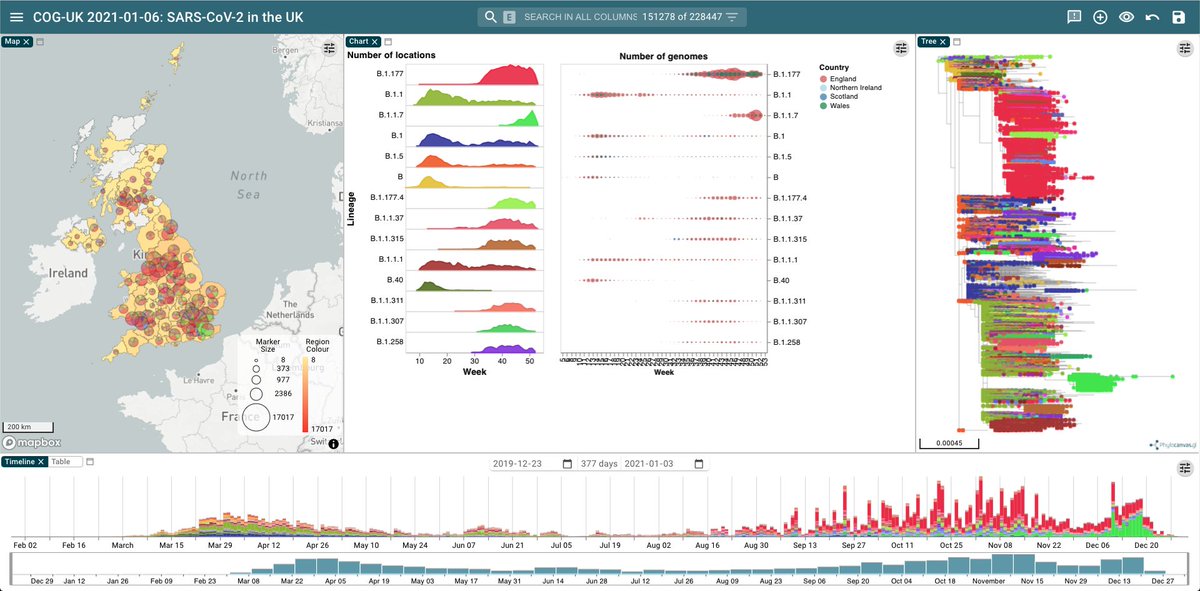 Centre for Genomic Pathogen Surveillance (@thecgps) on Twitter photo Sequence data as of 6th January from <a href="/CovidGenomicsUK/">COVID-19 Genomics UK (COG-UK) Consortium</a> now available in <a href="/MyMicroreact/">Microreact</a>:
beta.microreact.org/project/nMxeoQā¦
Now featuring a choropleth map layer where samples have been grouped by county and coloured using a scale based on number of sequences from the region.
1/3 Sequence data as of 6th January from <a href="/CovidGenomicsUK/">COVID-19 Genomics UK (COG-UK) Consortium</a> now available in <a href="/MyMicroreact/">Microreact</a>:
beta.microreact.org/project/nMxeoQā¦
Now featuring a choropleth map layer where samples have been grouped by county and coloured using a scale based on number of sequences from the region.
1/3