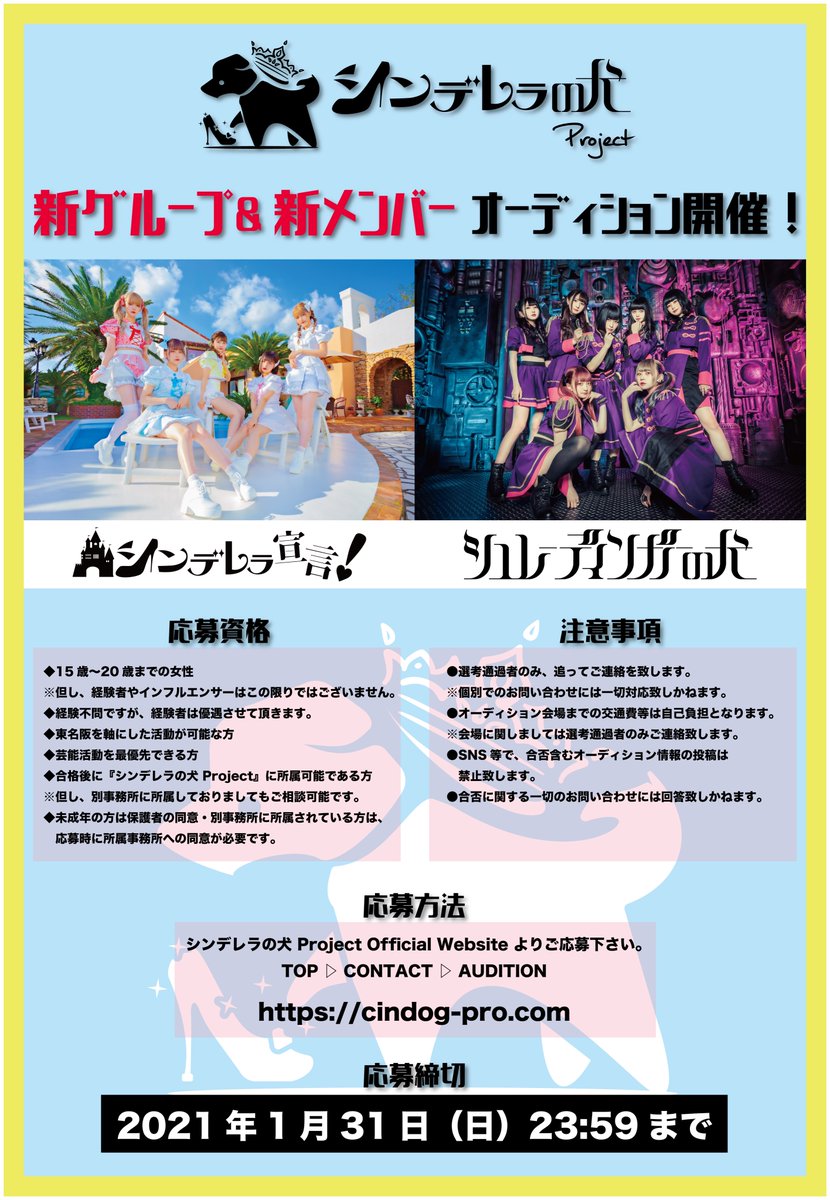 シンデレラの犬 Project 重大発表 オーディション開催決定 詳細はフライヤー をチェック シンデレラ宣言 シュレーディンガーの犬 に採用の場合アリ T Co