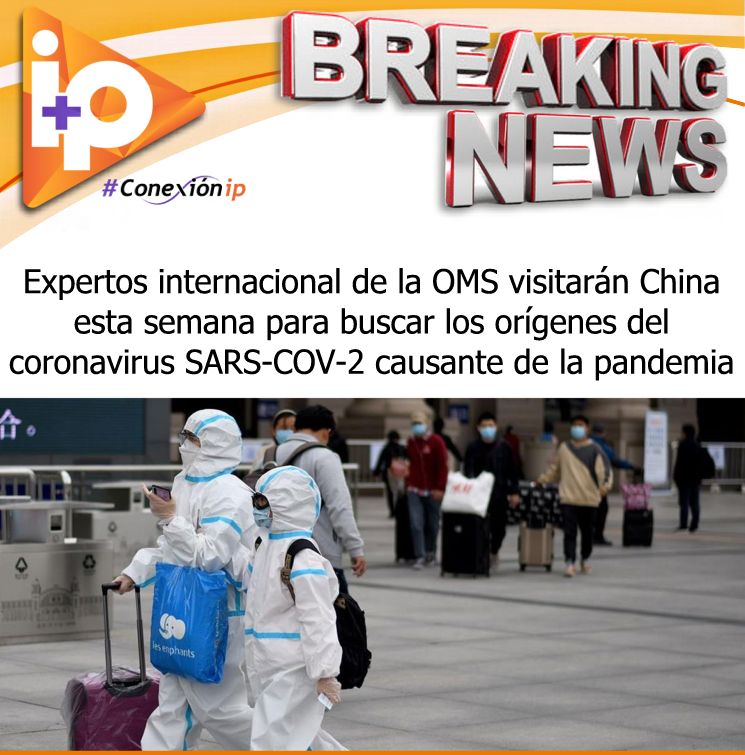 IP Televisión Digital tweet media