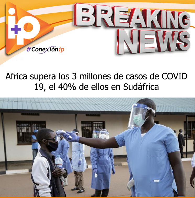 IP Televisión Digital tweet media