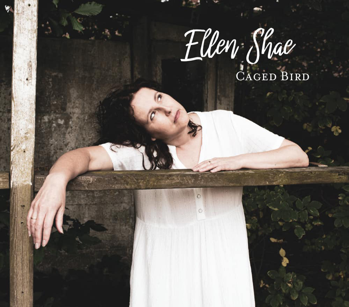 LiveStreamMagazine tweet media