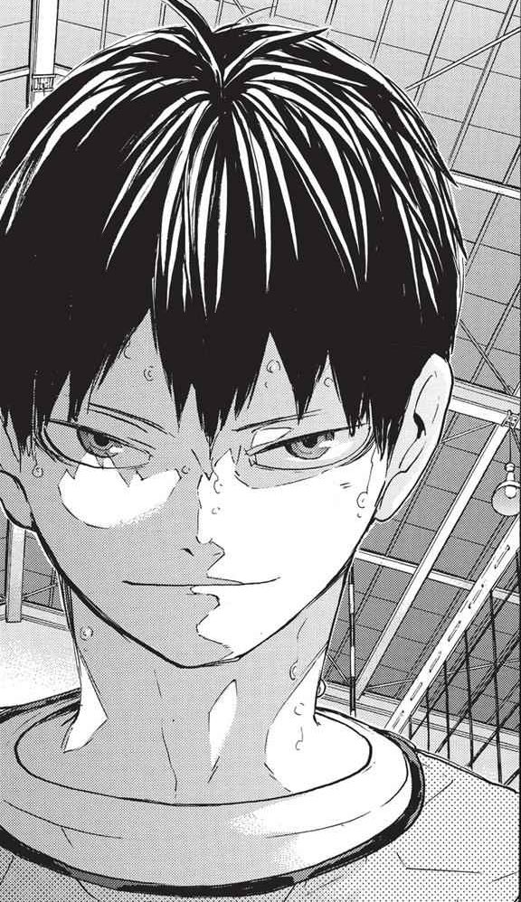 srsly just look at them after they're delivered the latter one.

It's exactly what they needed to hear. 

ch 224 & ch 274 give a look into kageyama & kita respectively, a tie up for the former & a backstory/intro for the latter. & in both there is that one person shakes them ? 
