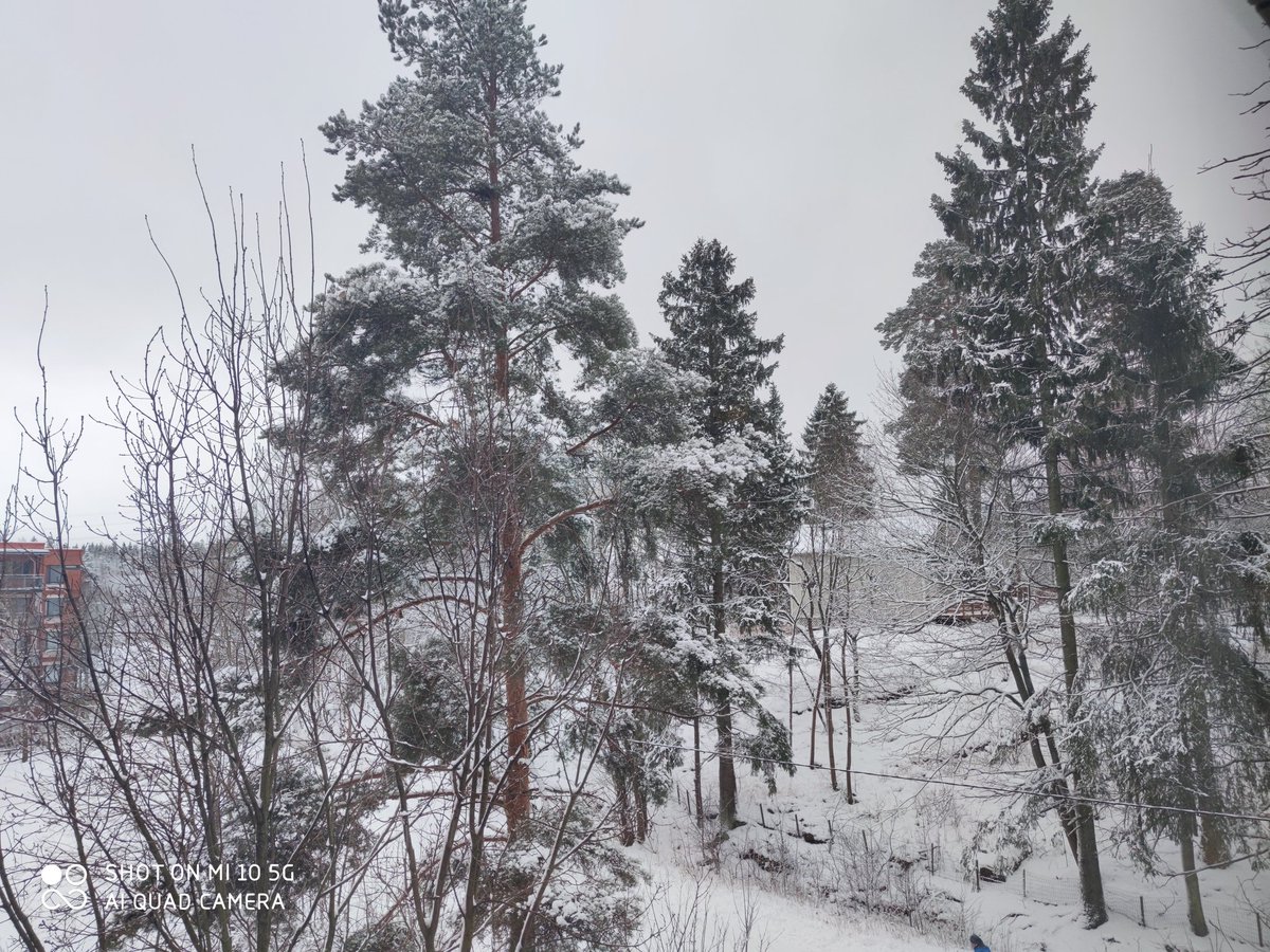 zohaibbaig's tweet photo. talven ihmemaa // winter wonderland ❄️🌨️ https://t.co/u00LmKLSyj