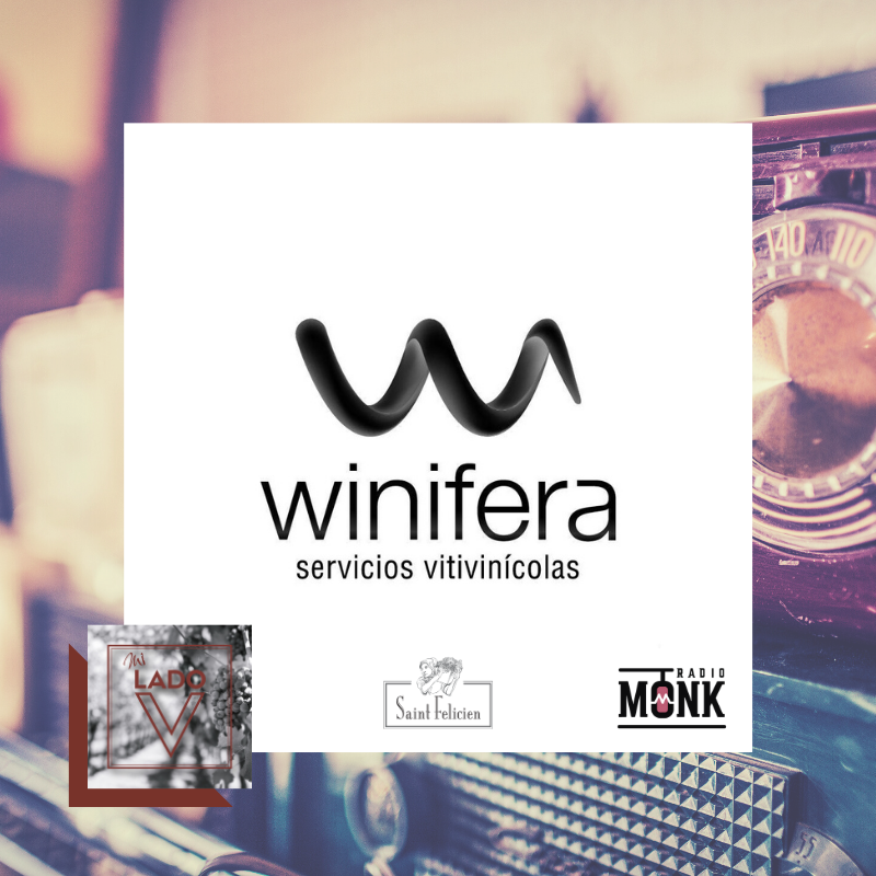 miladovcom's tweet photo. 📻 #MiLadoV [radio] S03E02 - Servicio
Mujer del vino, sommelier, jurado internacional y ambassador de diversas publicaciones, en el episodio de esta semana, @MaLauraOrtiz_ar, de @winifera_ar.
.
Martes 12, 19hs:
🌐 https://t.co/yGeiKG3XVS
.
Cheers! 😉🍷
.
#Radio #Jazz #Wine #Vino https://t.co/Iu9lXjNX8G