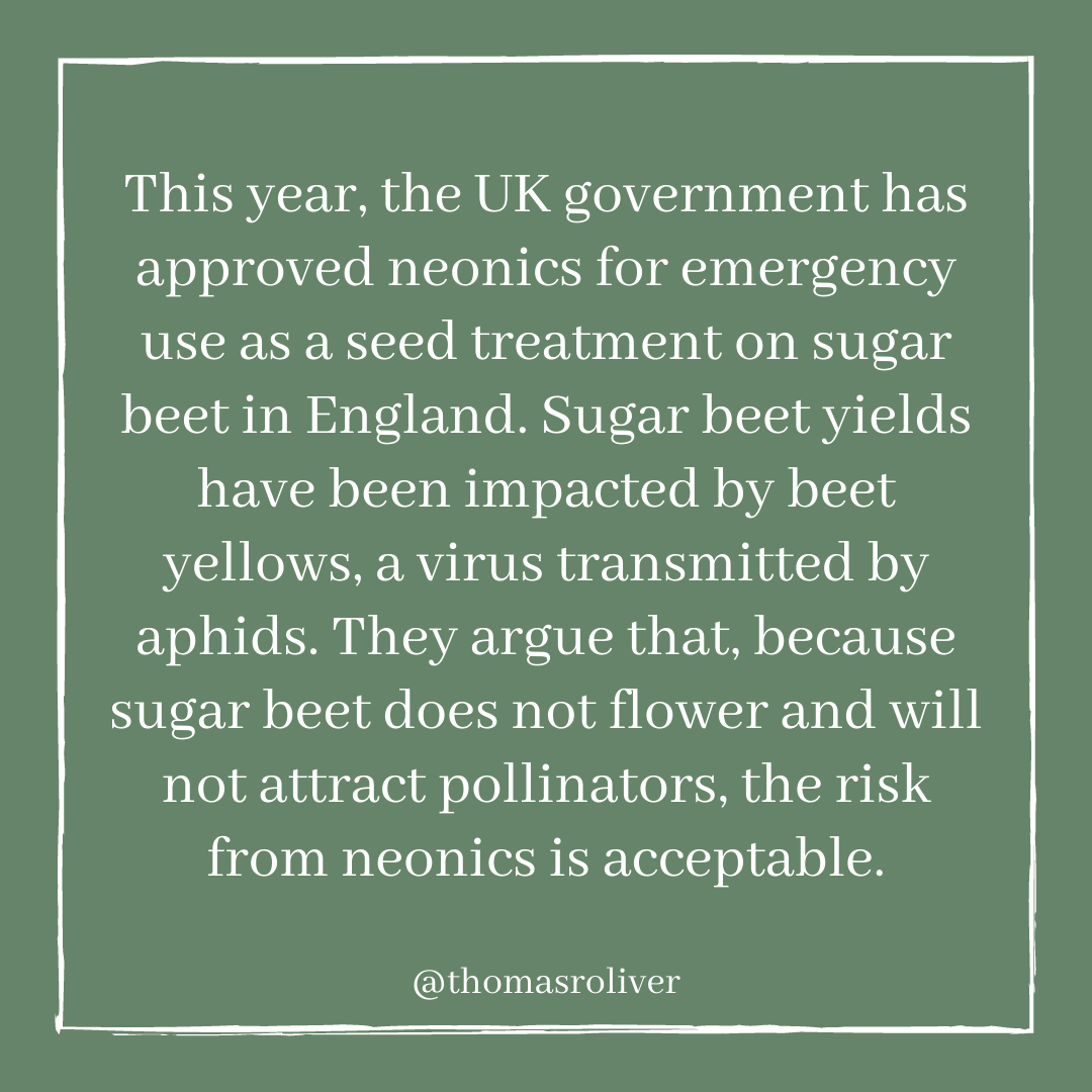 The government has approved neonics for emergency use as a seed treatment on sugar beet. Yields have been impacted by beet yellows, transmitted by aphids. They argue that, because sugar beet does not flower and will not attract pollinators, the risk from neonics is acceptable.