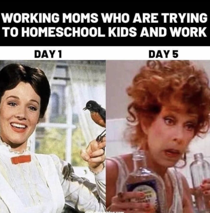 maryodonnellBC's tweet photo. https://t.co/oX6uzLoFLK