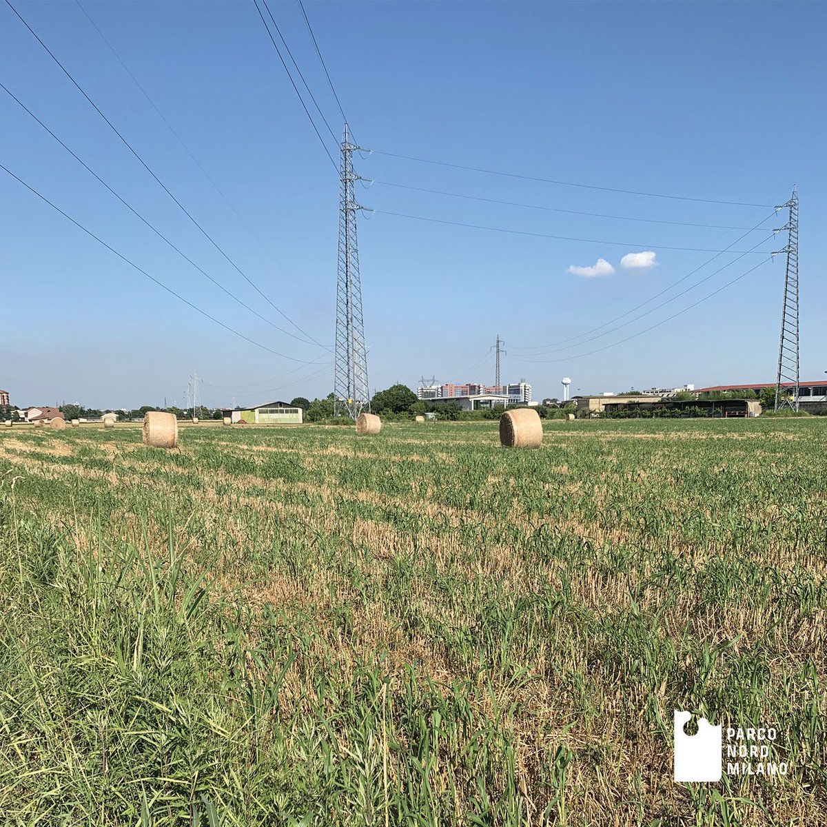 ParcoNordMilano's tweet photo. Sapevate che il Parco della #Balossa fa parte del Parco Nord Milano? Principalemnte a vocazione agricola, rappresenta un'importante connessione ecologica tra le aree verdi del Parco Nord Milano e del Parco delle Groane! Ci siete mai stati? Mandateci le vostre foto! https://t.co/ZGjfiWv0Y4