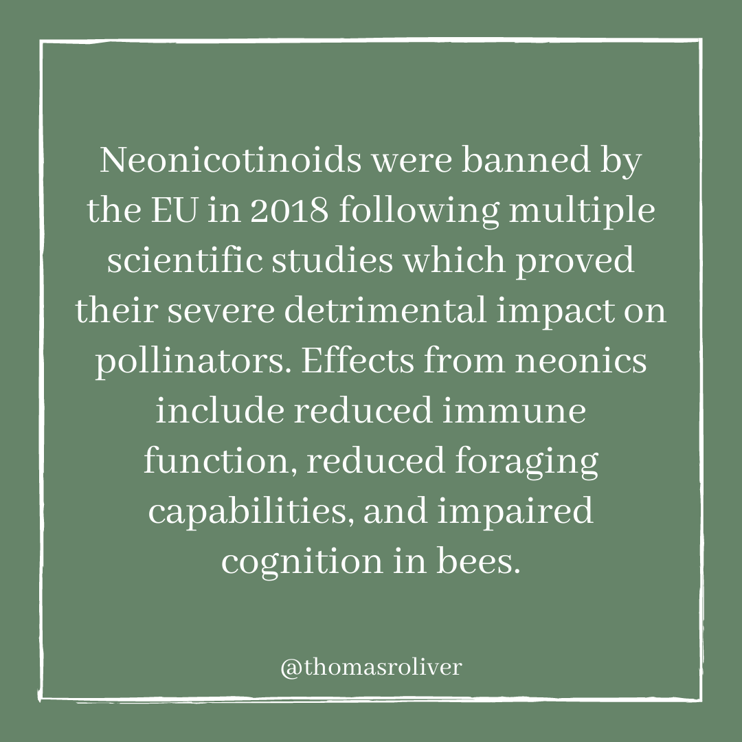 Neonicotinoids were banned by the EU in 2018 following multiple scientific studies which proved their severe detrimental impact on pollinators. Effects from neonics include reduced immune function, reduced foraging capabilities, and impaired cognition in bees.