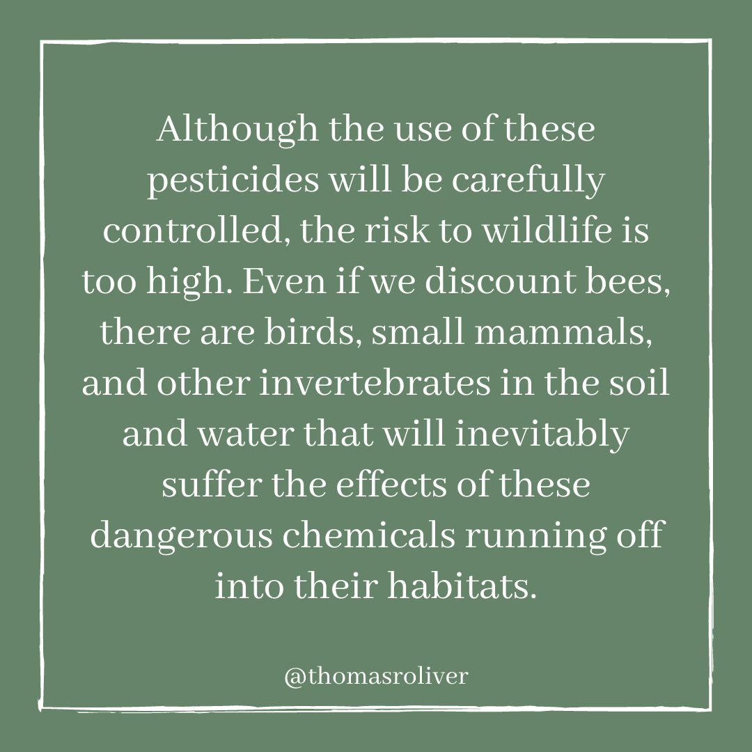 Although the use of neonics will be carefully controlled, the risk to wildlife is too high. Even if we discount bees, there are birds, small mammals, and other invertebrates in the soil and water that will inevitably suffer the effects of dangerous chemical run off.