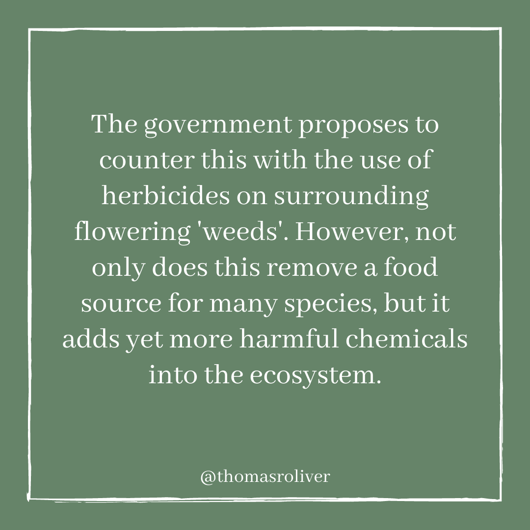 The government proposes to counter this with the use of herbicides on surrounding flowering 'weeds'. However, not only does this remove a food source for many species, but it adds yet more harmful chemicals into the ecosystem.