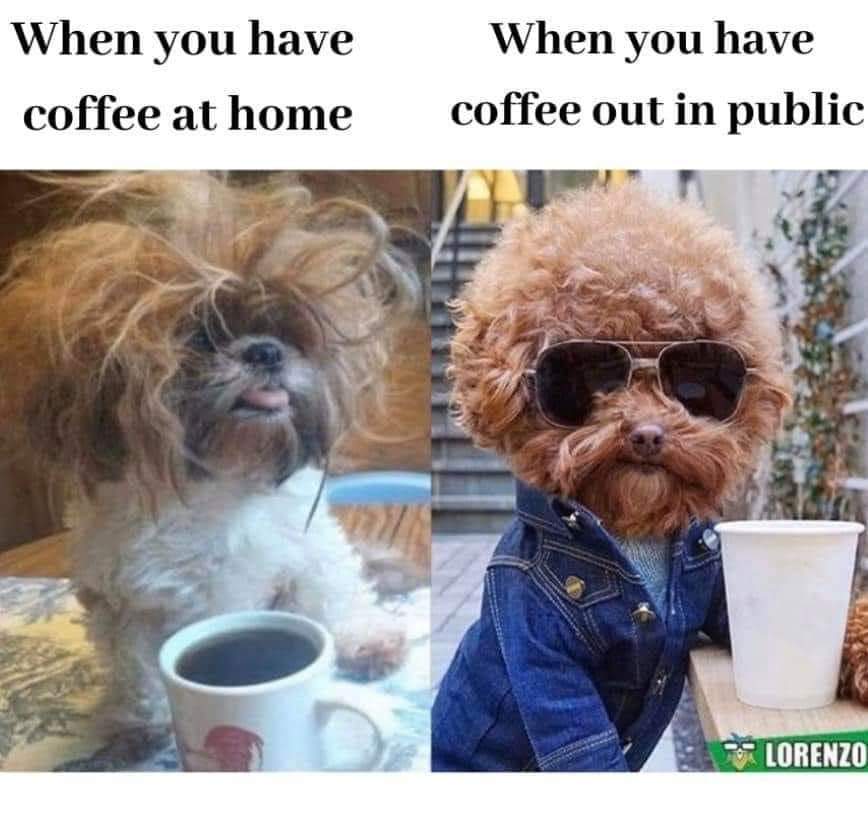 MeisterAsh's tweet photo. Everyone. Lol have a decent Monday ya beasts. https://t.co/o2Upim7k4S