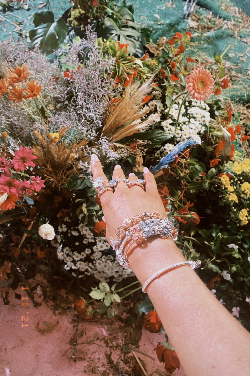 luisasonza's tweet photo. 🌸 https://t.co/KGsuXm2t4j