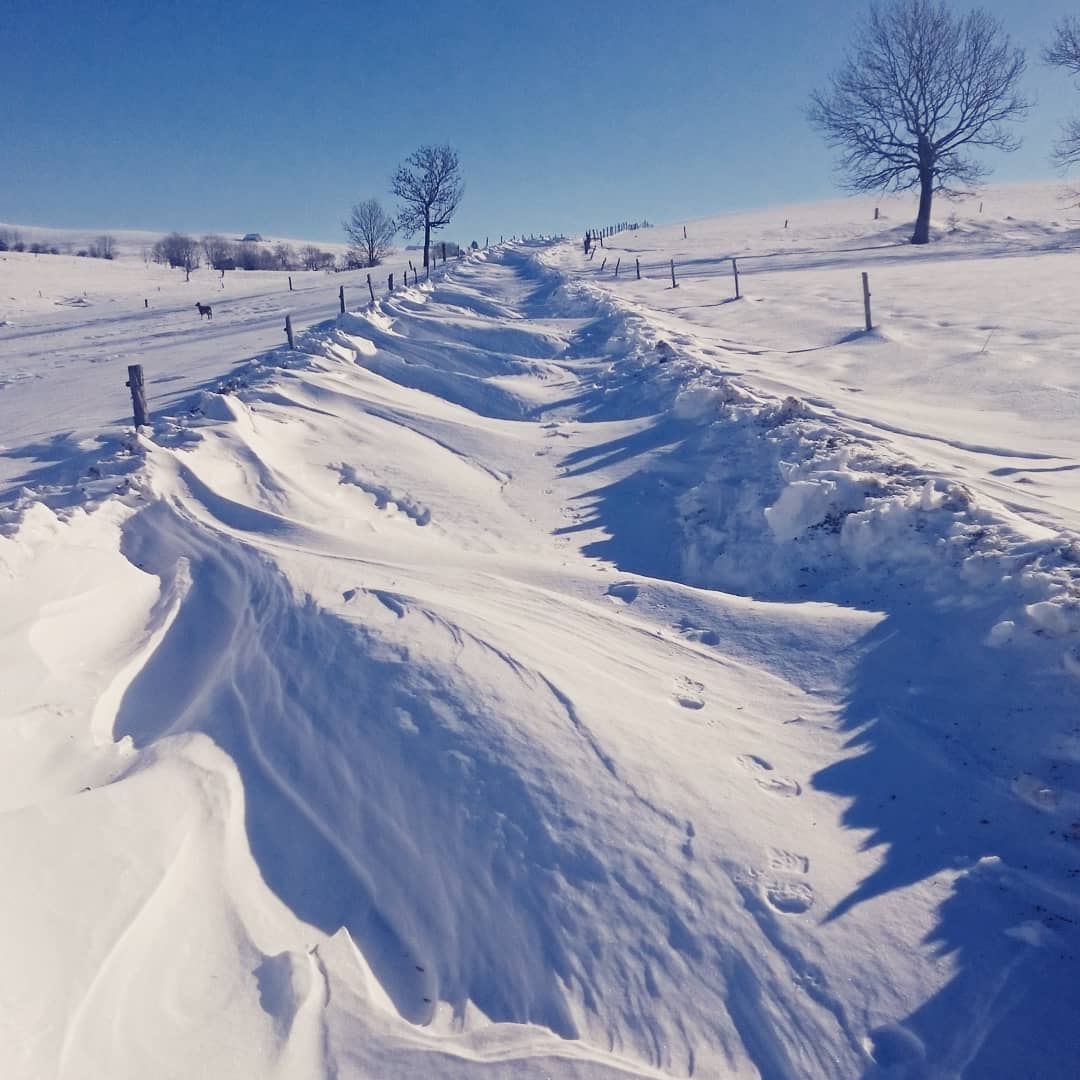 Joli record de congères en pays de salers aujourd'hui sous un soleil radieux 🌞 ❄#salers #Salersemotions #cantal #cantaldestination #auvergne #myauvergne #auvergnerhonealpes #tourisme #hiver #randonnée #nature #montagne #raquettesaneige #plaisirsimple #evasion