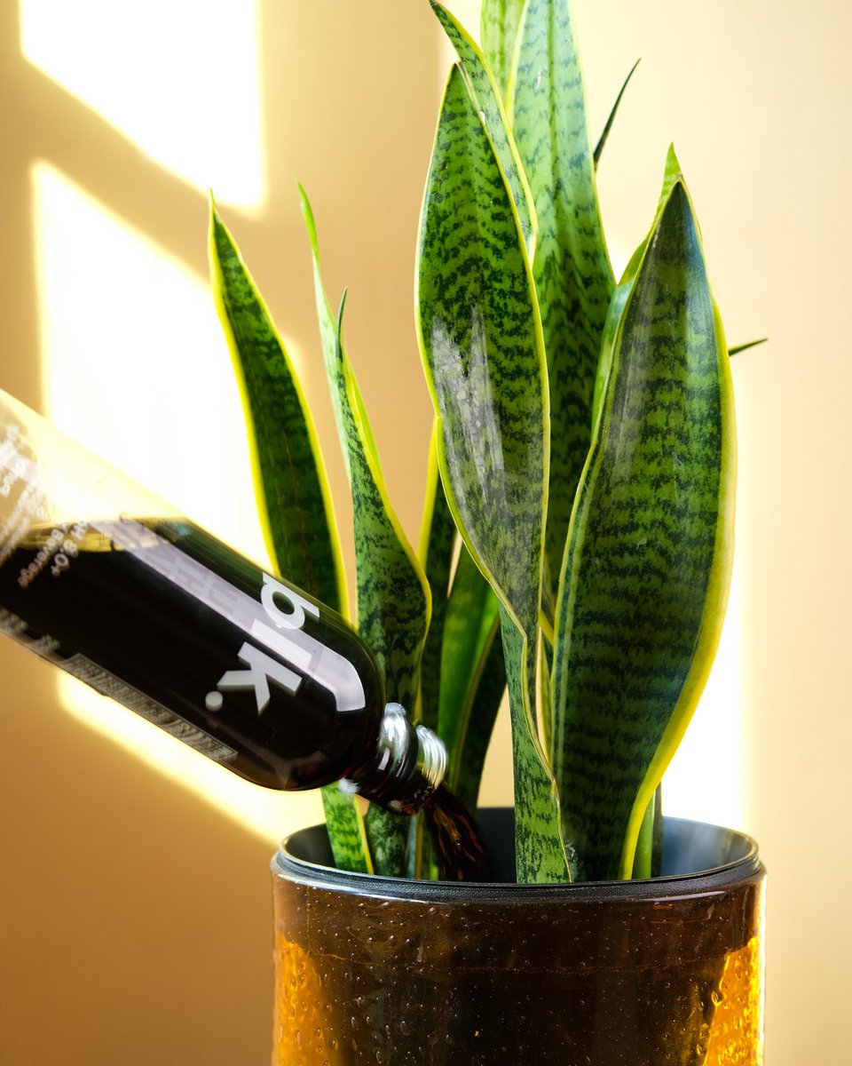 Watering your plants with fulvic minerals boosts nutrient absorption and increases life span 🍃🌿 Make your plants a little happier with #blk. #MindfulMotivation