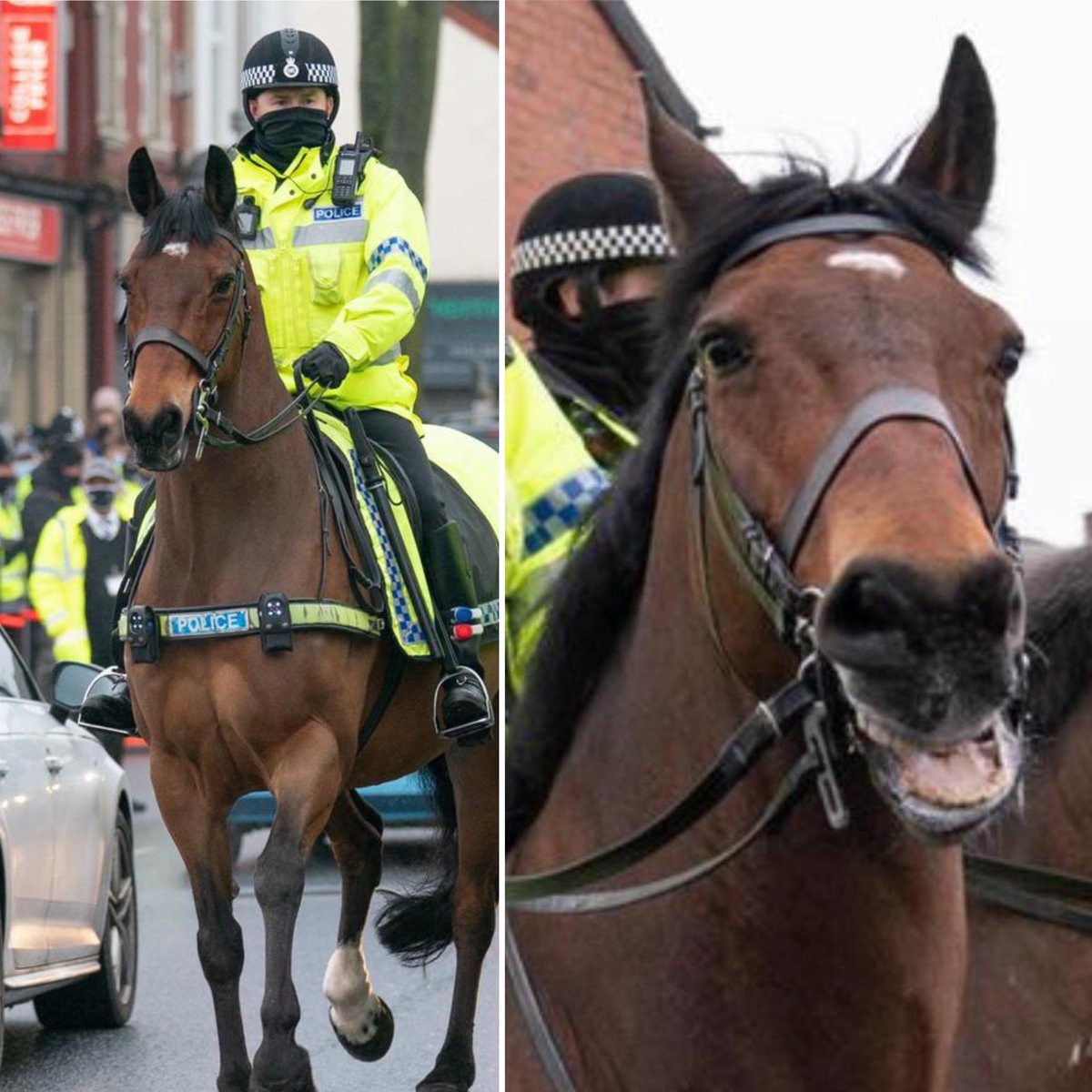 MerPolMounted's tweet photo. Twitter profile picture Vs Tagged twitter picture! Suppose Jake can’t look the part 24 hours a day #StandTall #PHJake #TwitterVsReality #StrikeAPose @terrydonnelly01 https://t.co/lXhLzA53l5