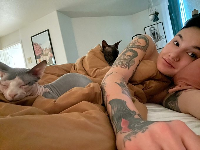 Are you jealous of the two bald pussies in bed with me? 😸😽 https://t.co/yZjnhatwTP
