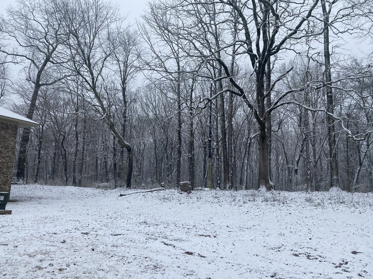 maaaadelineeee's tweet photo. Buddy had his first snow day in Florence, AL!! The zoomies were never ending this morning 😂 @spann https://t.co/S6xSBwRYDg