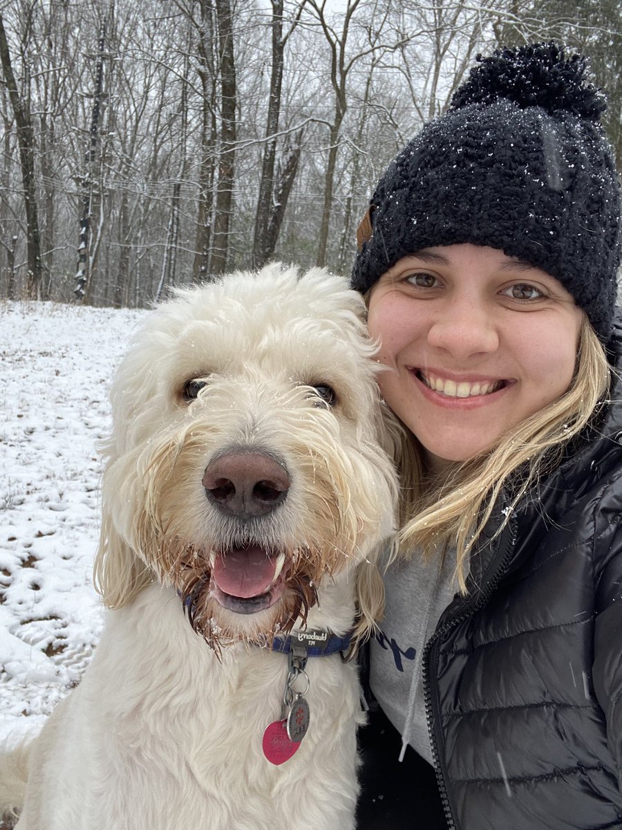 maaaadelineeee's tweet photo. Buddy had his first snow day in Florence, AL!! The zoomies were never ending this morning 😂 @spann https://t.co/S6xSBwRYDg