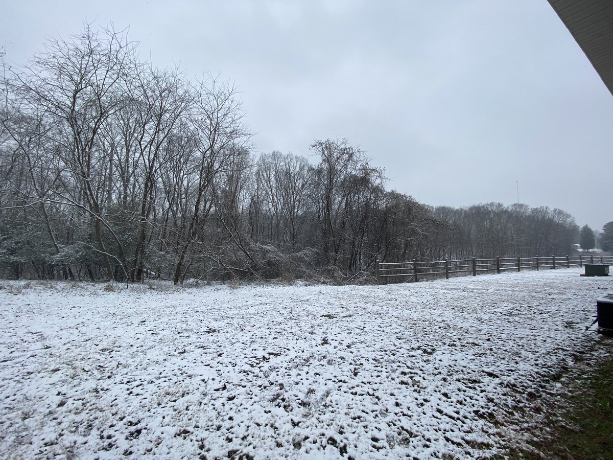 Buddy had his first snow day in Florence, AL!! The zoomies were never ending this morning 😂 <a href="/spann/">James Spann</a>