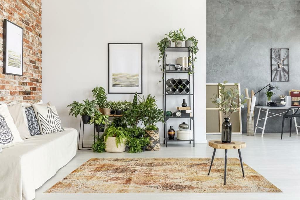 carpetconsulate's tweet photo. Complete your #interiordesign with this high quality #designerrug
https://t.co/oVjOcwJe2N
Product name:
Designer Rug - 162
Size : 303x247 cm
✅#Sequrepayment
✅31 days #moneybackguarantee
✅#FreeShipping to #USA ,#EU & #UK
✅#bestprice
#rugonline #carpetonline #rugstore #rug https://t.co/eS1yzflPvw