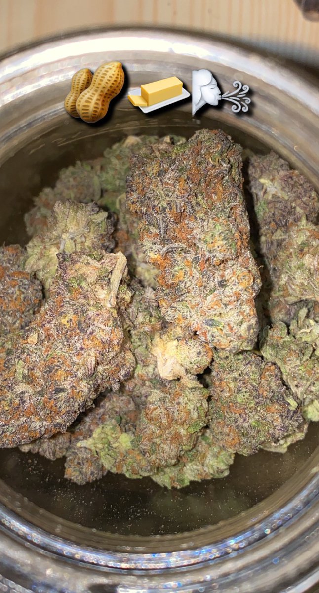 EZ7King420's tweet photo. Also got one of my favorite strains ready too. Lol I love this strain such a strong indica.  #CaliStoner #cookiemoney #topshelflife #StonerFam #onlysmokethefinest #cannabislover #cannafam #growyourown #cannabiscommunity #IamGDC #HighTimes #HighLifeLiving https://t.co/ENyFSMNCBp