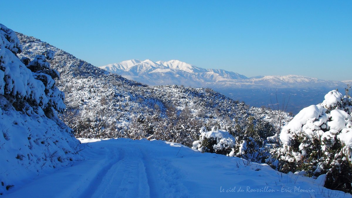 CielRoussillon's tweet photo. Le #Canigo vu depuis les #Albères (à 500m d'altitude)
Mon ascension vers le Sant Cristau fut bloquée vers 600m car trop de neige (~40cm).
Le 11/01/2021 par #LecielduRoussillon #France
@MeteoLanguedoc @Meteo_Pyrenees @Meteovilles @KeraunosObs @ThePhotoHour @StormchaserUKEU https://t.co/TnayGHjGoZ